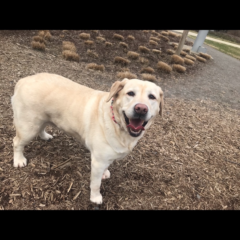 Meet your Posher, Eliza